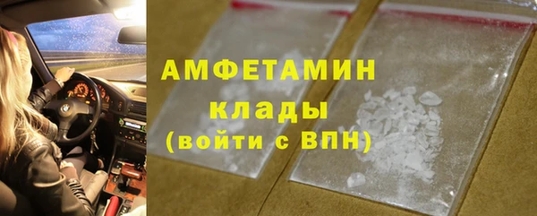 крисы Магас