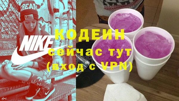 крисы Магас