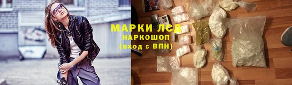 стафф Галич