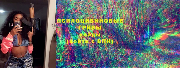 крисы Магас