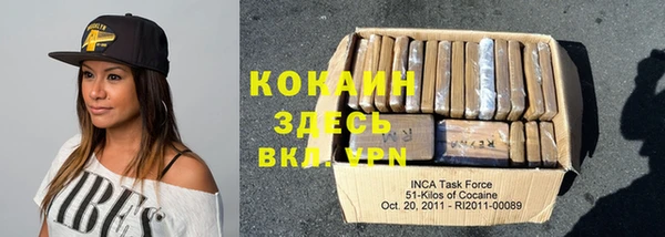 крисы Магас