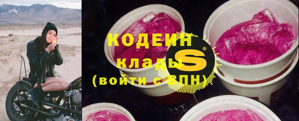 крисы Магас