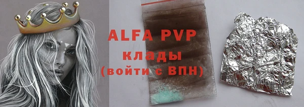 крисы Магас